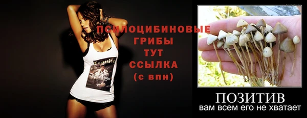 дживик Михайловск