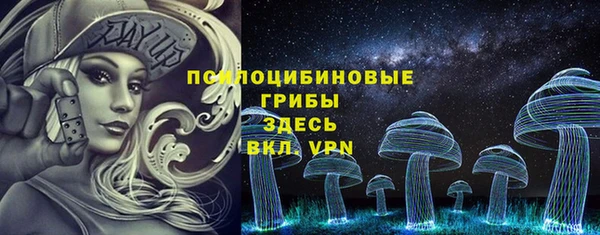 дживик Михайловск