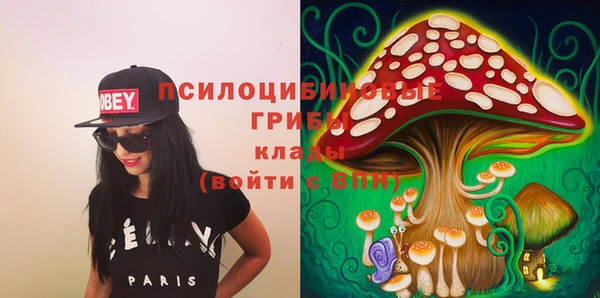 синтетический гашиш Ленинск
