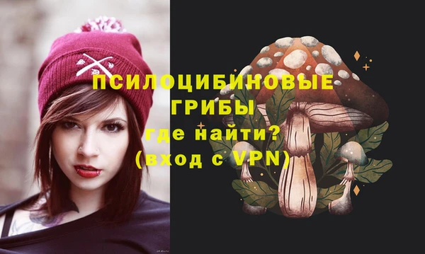 стаф Михайлов