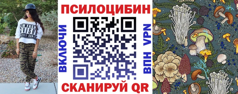 mega рабочий сайт  Малгобек  Галлюциногенные грибы прущие грибы 