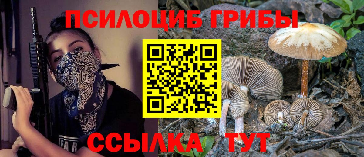 Галлюциногенные грибы прущие грибы  Псилоцибиновые грибы ЛСД  Малгобек  Вход с VPN 