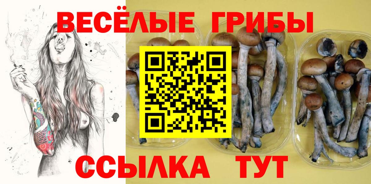 Галлюциногенные грибы GOLDEN TEACHER Малгобек
